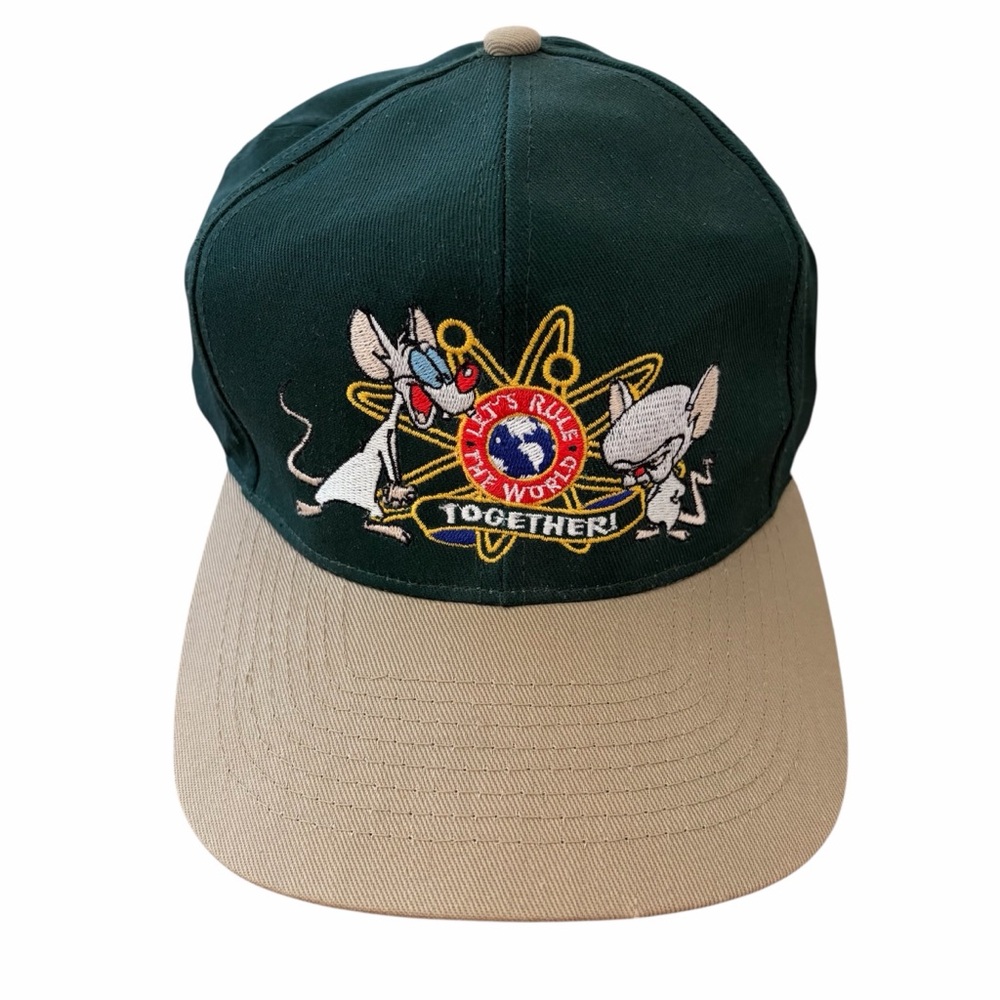 Vintage 1995 Pinky and The Brain Baseball SnapBack Hat The Animaniacs Dk Green